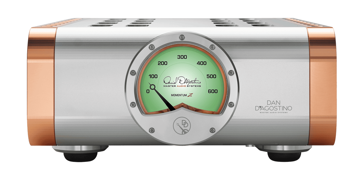 DAN D'AGOSTINO Momentum Z Monoblock Amplifier