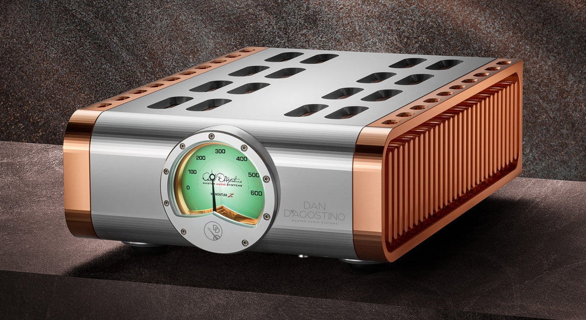 DAN D'AGOSTINO Momentum Z Monoblock Amplifier