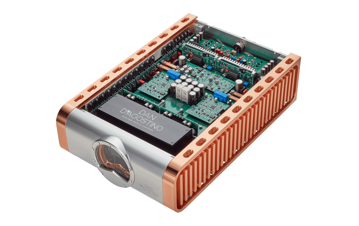 DAN D'AGOSTINO Momentum Z Monoblock Amplifier