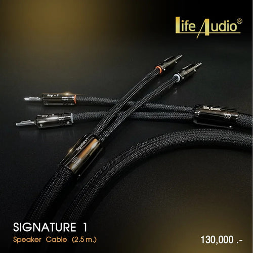 LIFE AUDIO SIGNATURE 1 SPEAKER CABLE