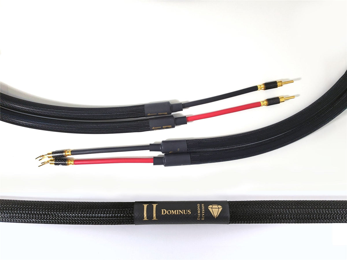 PURIST AUDIO DESIGN DOMINUS SINGLE WIRED