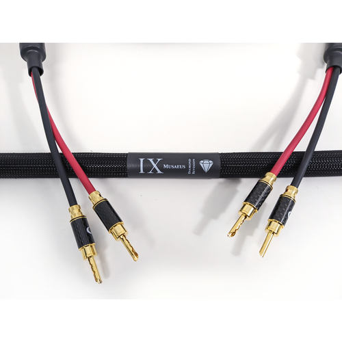 PURIST AUDIO DESIGN MUSAEUS SINGLE WIRED
