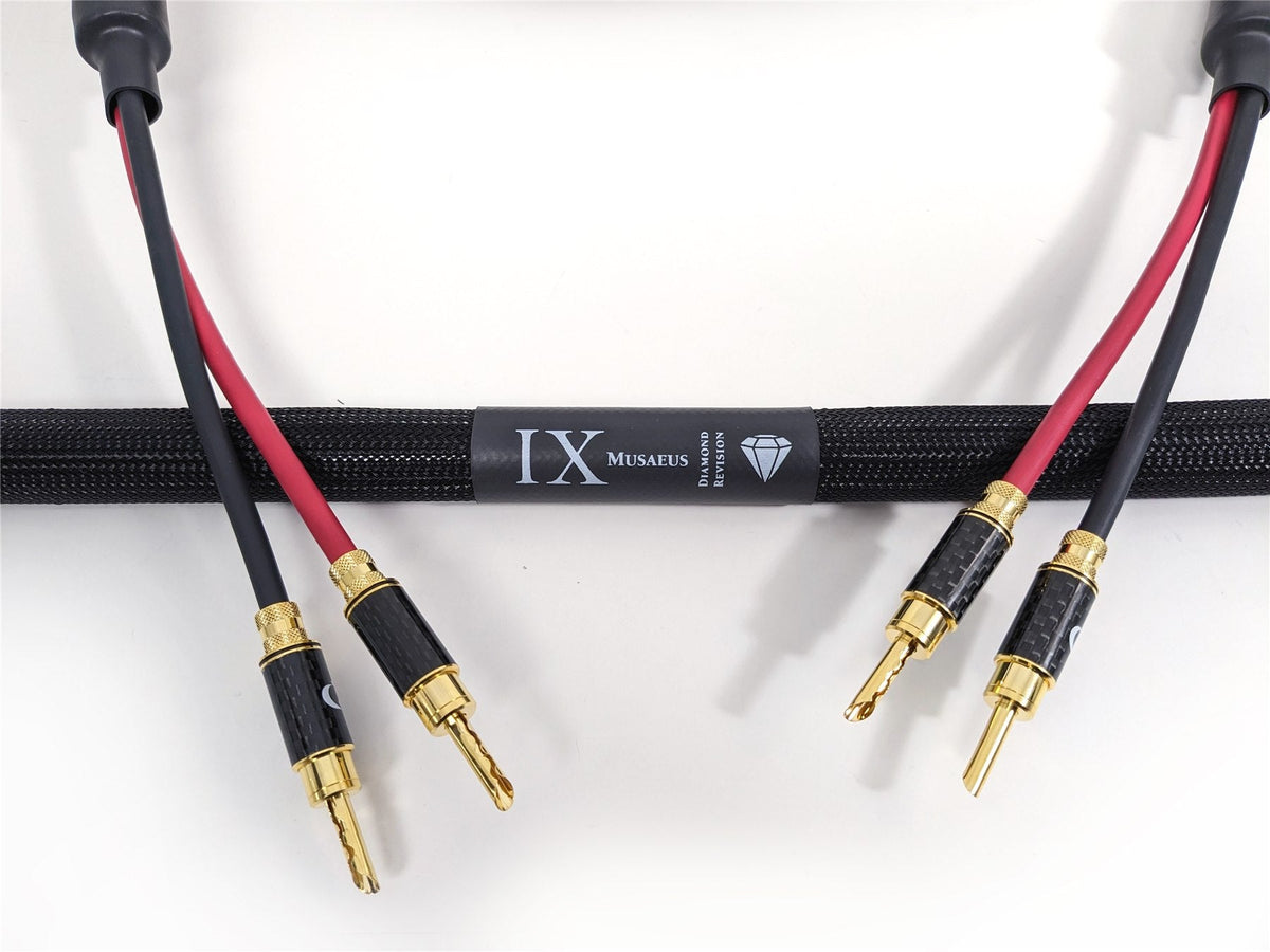PURIST AUDIO DESIGN MUSAEUS BI-WIRED