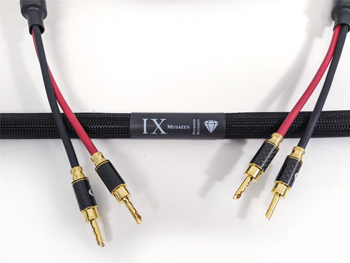 PURIST AUDIO DESIGN MUSAEUS BI-WIRED