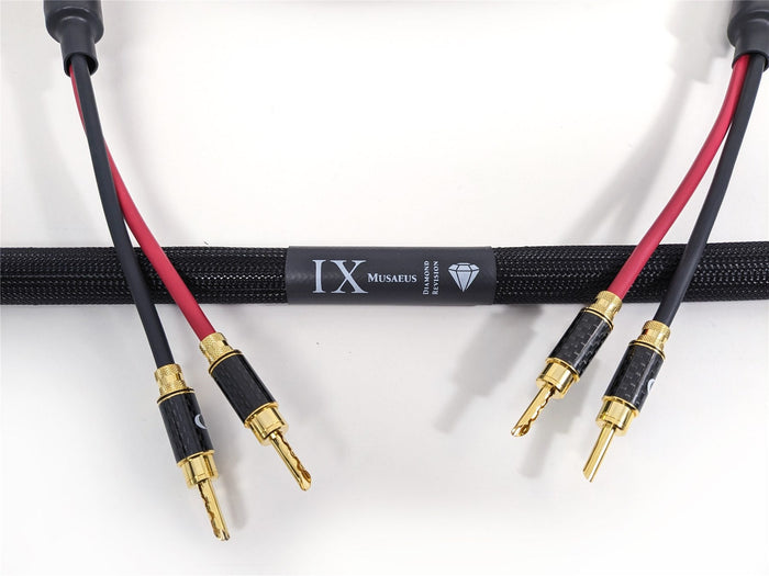 PURIST AUDIO DESIGN MUSAEUS BI-WIRED