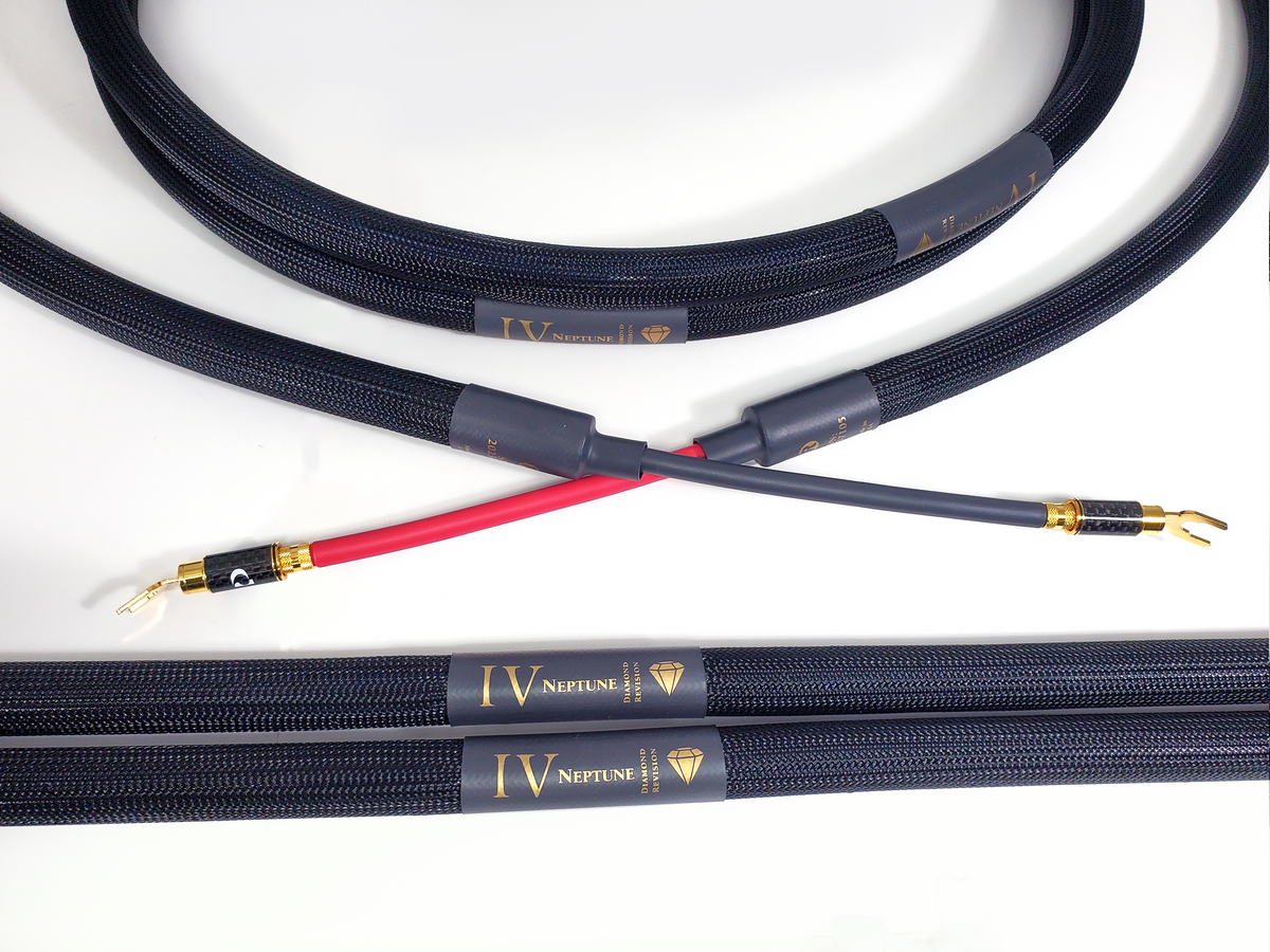 PURIST AUDIO DESIGN NEPTUNE SINGLE WIRED